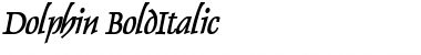 Download Dolphin BoldItalic Font Title Preview
