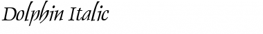 Download Dolphin Italic Font Title Preview