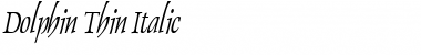Download Dolphin Thin Italic Font Title Preview