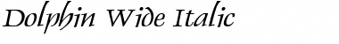 Download Dolphin Wide Italic Font Title Preview