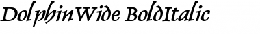 Download DolphinWide BoldItalic Font Title Preview