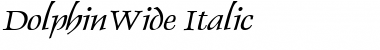 Download DolphinWide Italic Font Title Preview