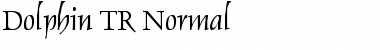 Download Dolphin_TR Normal Font Title Preview