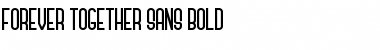 Download Forever Together Sans Bold Font Title Preview
