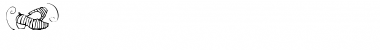 Download DT Shoes Regular Font Title Preview