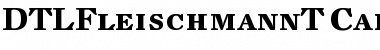 Download DTLFleischmannT Bold Font Title Preview