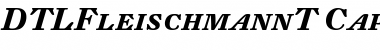 Download DTLFleischmannT ItalicBold Font Title Preview