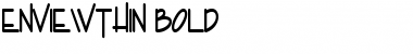 Download EnviewThin Bold Font Title Preview