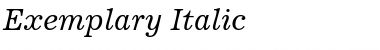 Download Exemplary Italic Font Title Preview