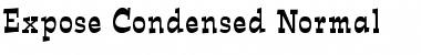 Download Expose Condensed Normal Font Title Preview