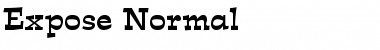 Download Expose Normal Font Title Preview