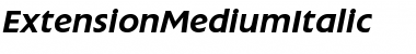 Download ExtensionMediumItalic Roman Font Title Preview