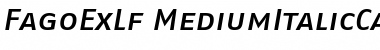 Download FagoExLf ItalicMedium Font Title Preview