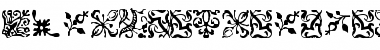 Download FCaslonOrnamentsITCTT Regular Font Title Preview