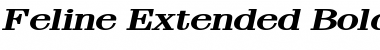 Download Feline Extended BoldItalic Font Title Preview