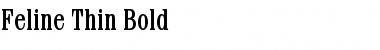 Download Feline Thin Bold Font Title Preview