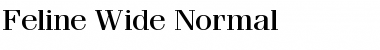 Download Feline Wide Normal Font Title Preview