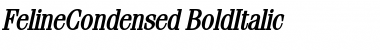 Download FelineCondensed BoldItalic Font Title Preview