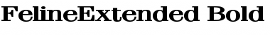 Download FelineExtended Bold Font Title Preview