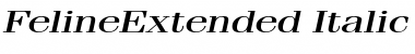 Download FelineExtended Italic Font Title Preview