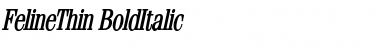 Download FelineThin BoldItalic Font Title Preview
