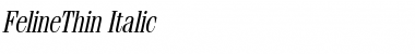 Download FelineThin Italic Font Title Preview