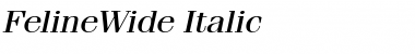 Download FelineWide Italic Font Title Preview