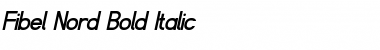 Download Fibel Nord Bold Italic Font Title Preview