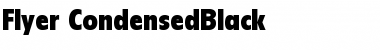 Download Flyer-CondensedBlack Black Font Title Preview