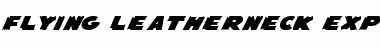 Download Flying Leatherneck Expanded Expanded Font Title Preview