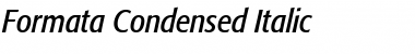 Download Formata Italic Font Title Preview