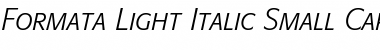 Download Formata Italic Font Title Preview