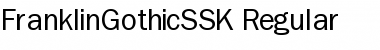 Download FranklinGothicSSK Regular Font Title Preview