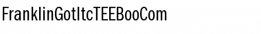 Download FranklinGotItcTEEBooCom Regular Font Title Preview