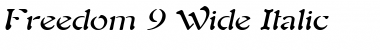 Download Freedom 9 Wide Italic Font Title Preview