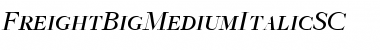Download FreightBigMediumItalicSC Regular Font Title Preview