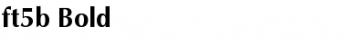 Download ft5b Bold Font Title Preview