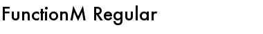 Download FunctionM Regular Font Title Preview