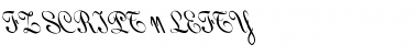 Download FZ SCRIPT 11 LEFTY Normal Font Title Preview