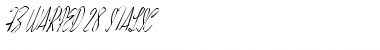 Download FZ WARPED 28 ITALIC Normal Font Title Preview
