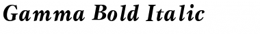 Download Gamma Bold Italic Font