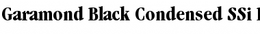 Download Garamond Black Condensed SSi Font