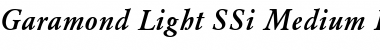 Download Garamond Light SSi Medium Italic Font