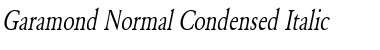Download Garamond-Normal Condensed Italic Font
