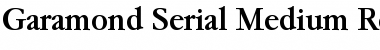 Download Garamond-Serial-Medium Regular Font