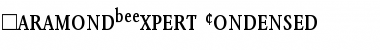 Download GaramondBEExpert-Condensed Roman Font