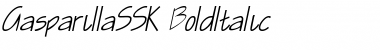 Download GasparillaSSK BoldItalic Font