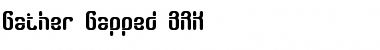 Download Gather Gapped BRK Font