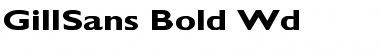 Download GillSans-Bold Wd Regular Font Title Preview