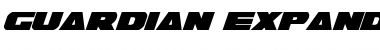 Download Guardian Expanded Italic Expanded Italic Font Title Preview